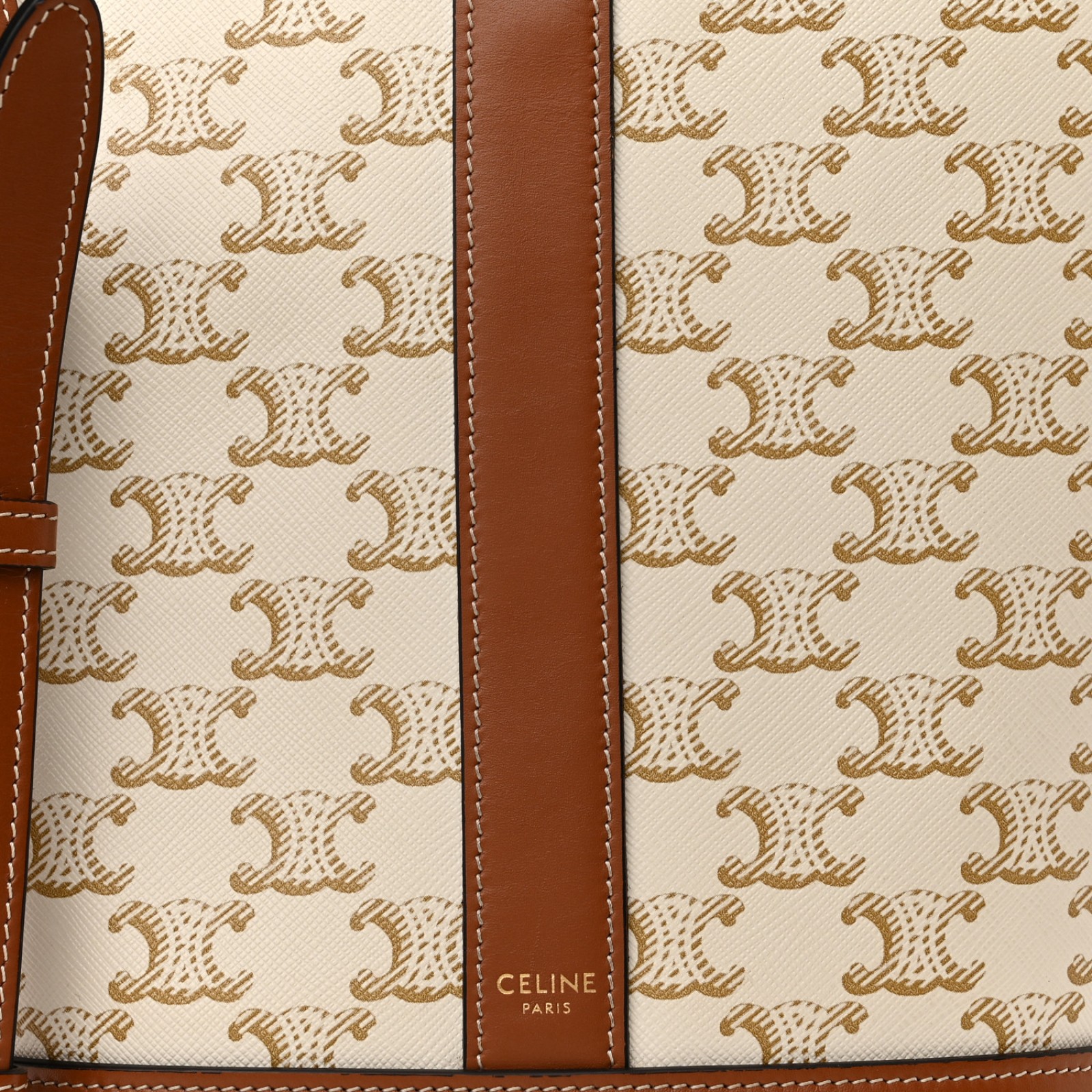 Triomphe Canvas Calfskin