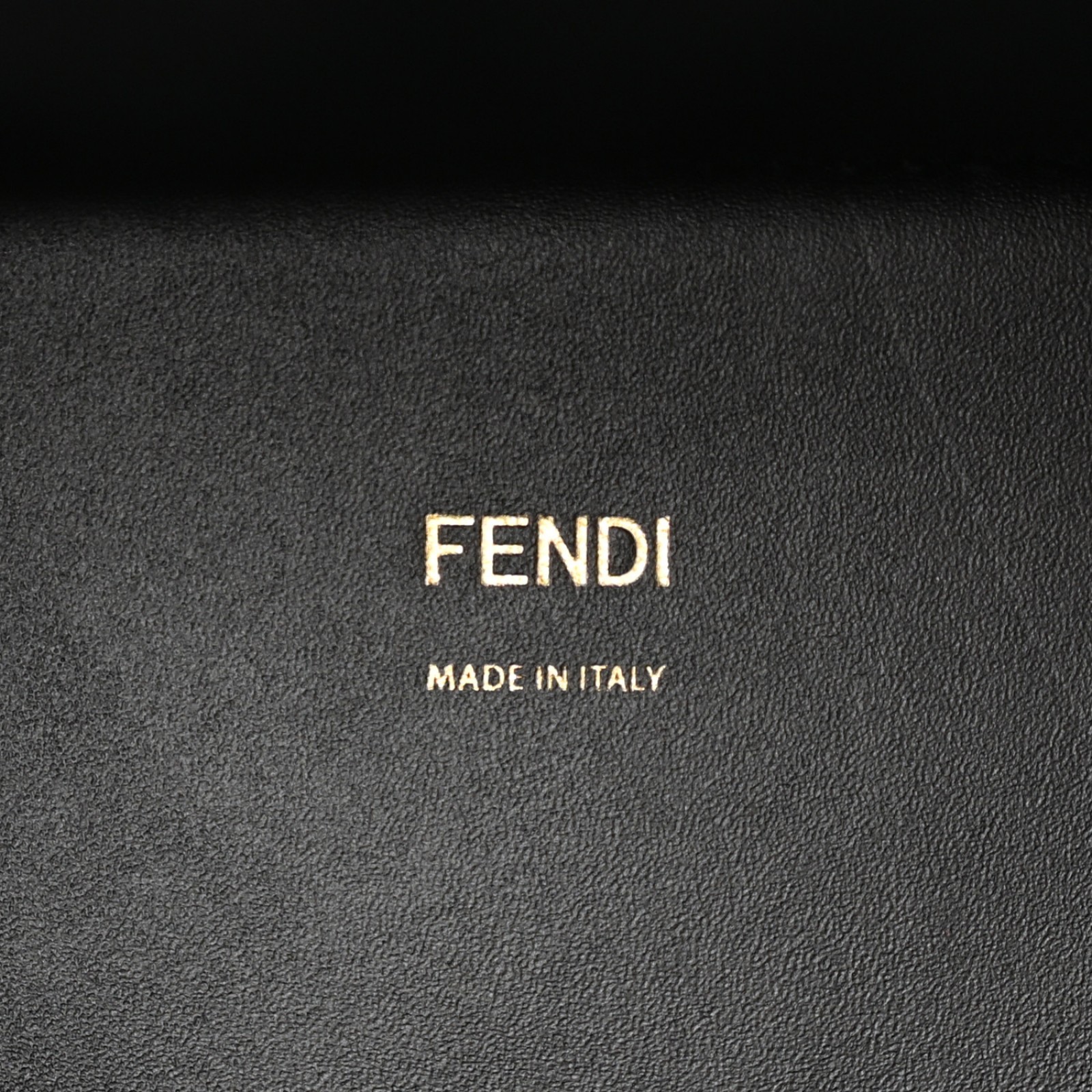 Fendi Sunshine Medium