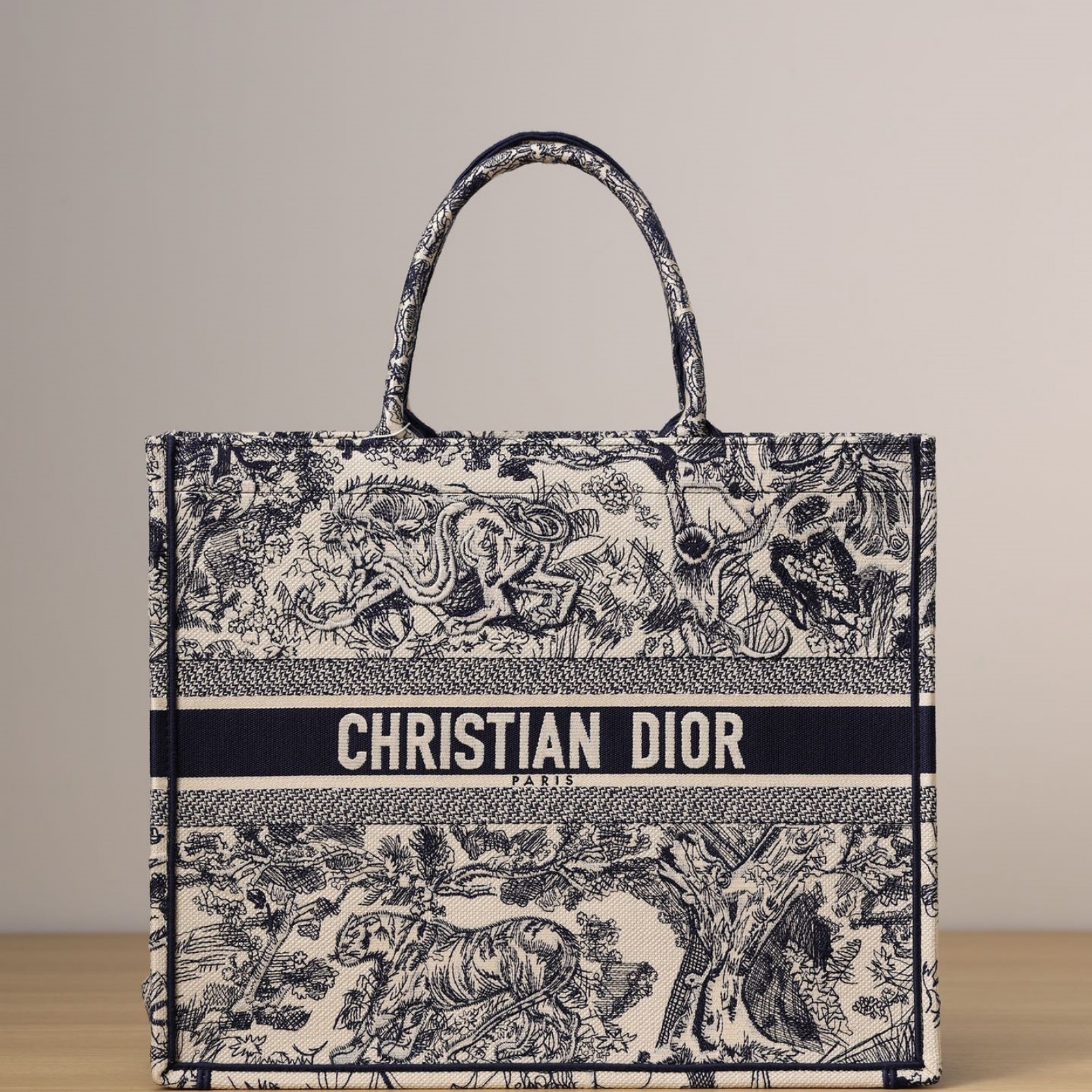 LARGE DIOR BOOK TOTE