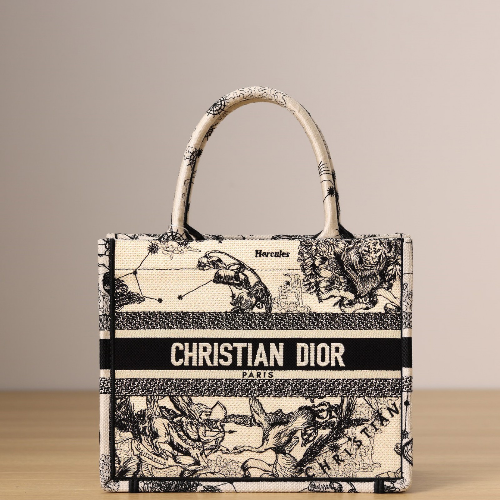 SMALL DIOR BOOK TOTE