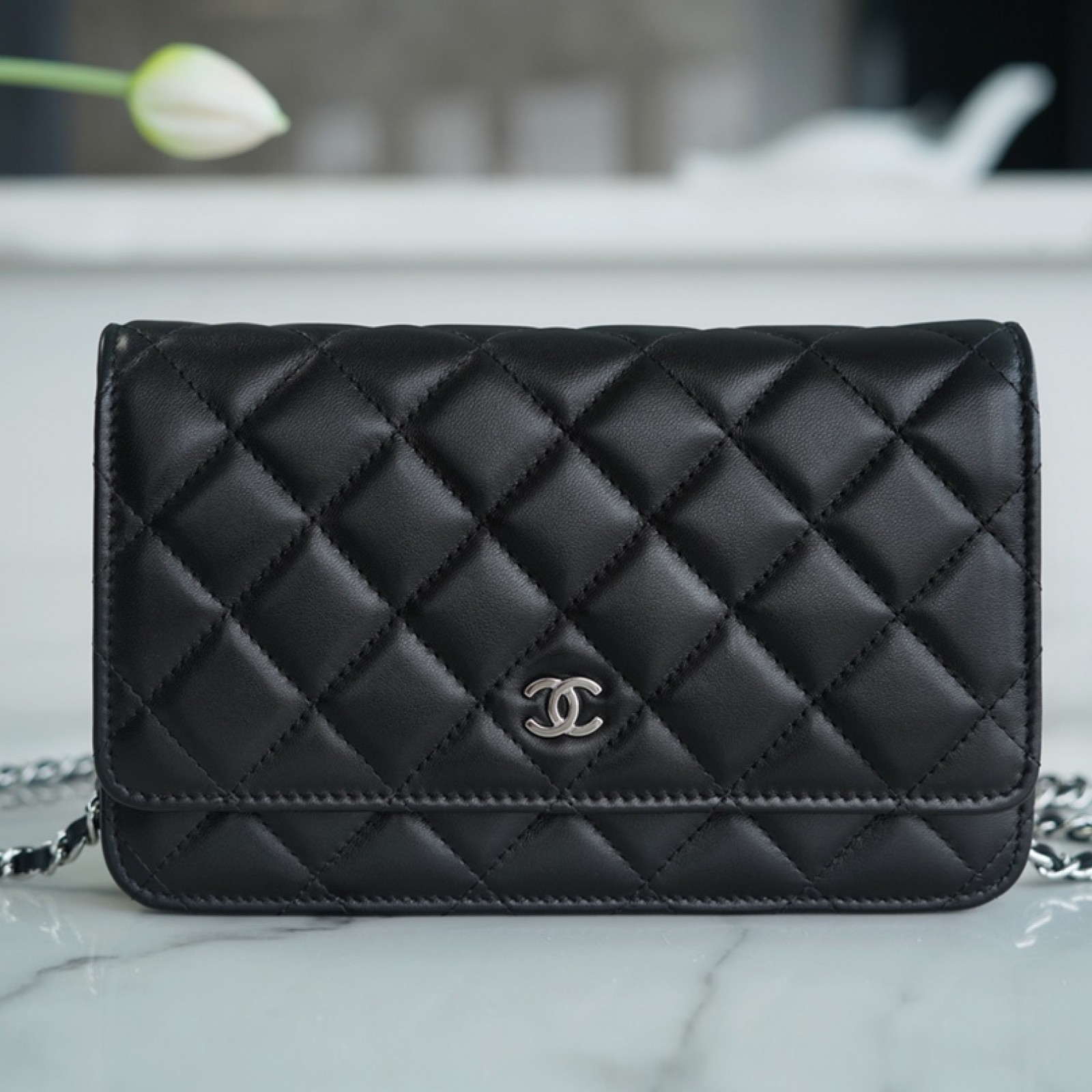 CHANEL WALLET ON CHAIN BAG