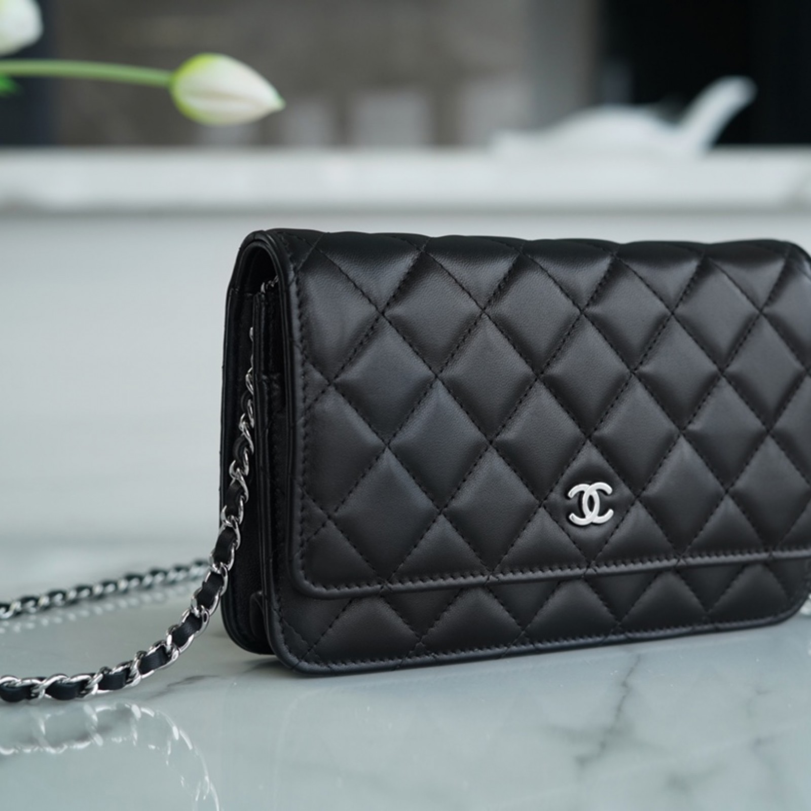 CHANEL WALLET ON CHAIN BAG
