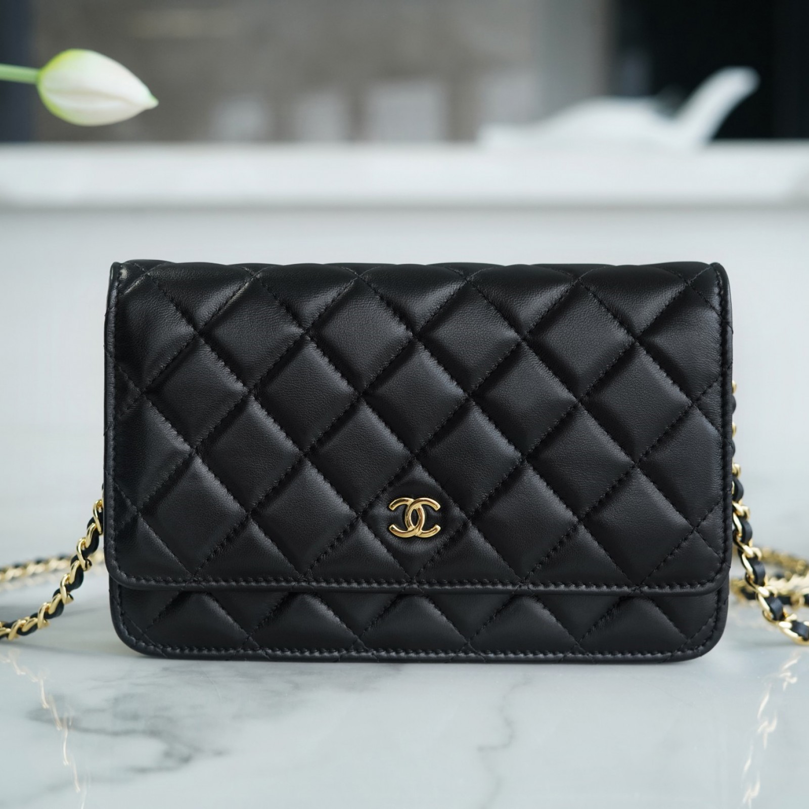 CHANEL WALLET ON CHAIN BAG