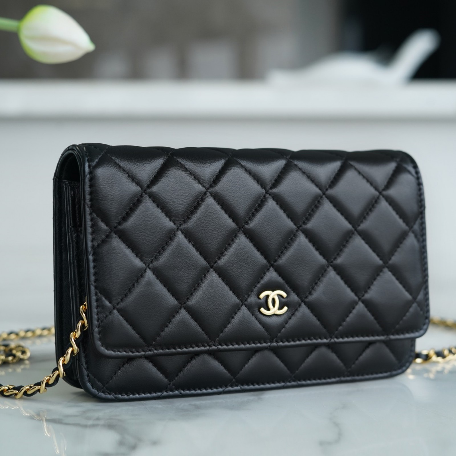 CHANEL WALLET ON CHAIN BAG