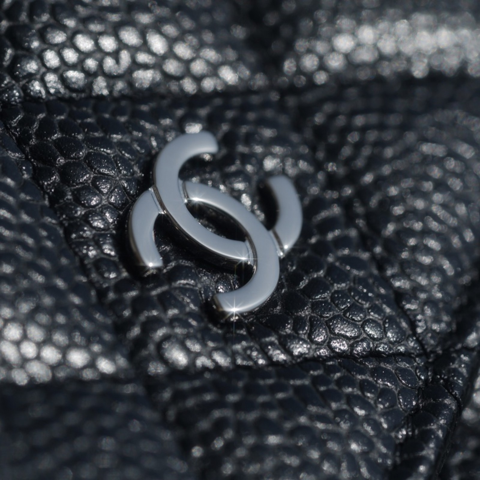 CHANEL WALLET ON CHAIN