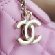 CHANEL SMALL HOBO BAG