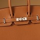 BIRKIN 25 GOLD TOGO