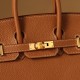 BIRKIN 25 GOLD TOGO