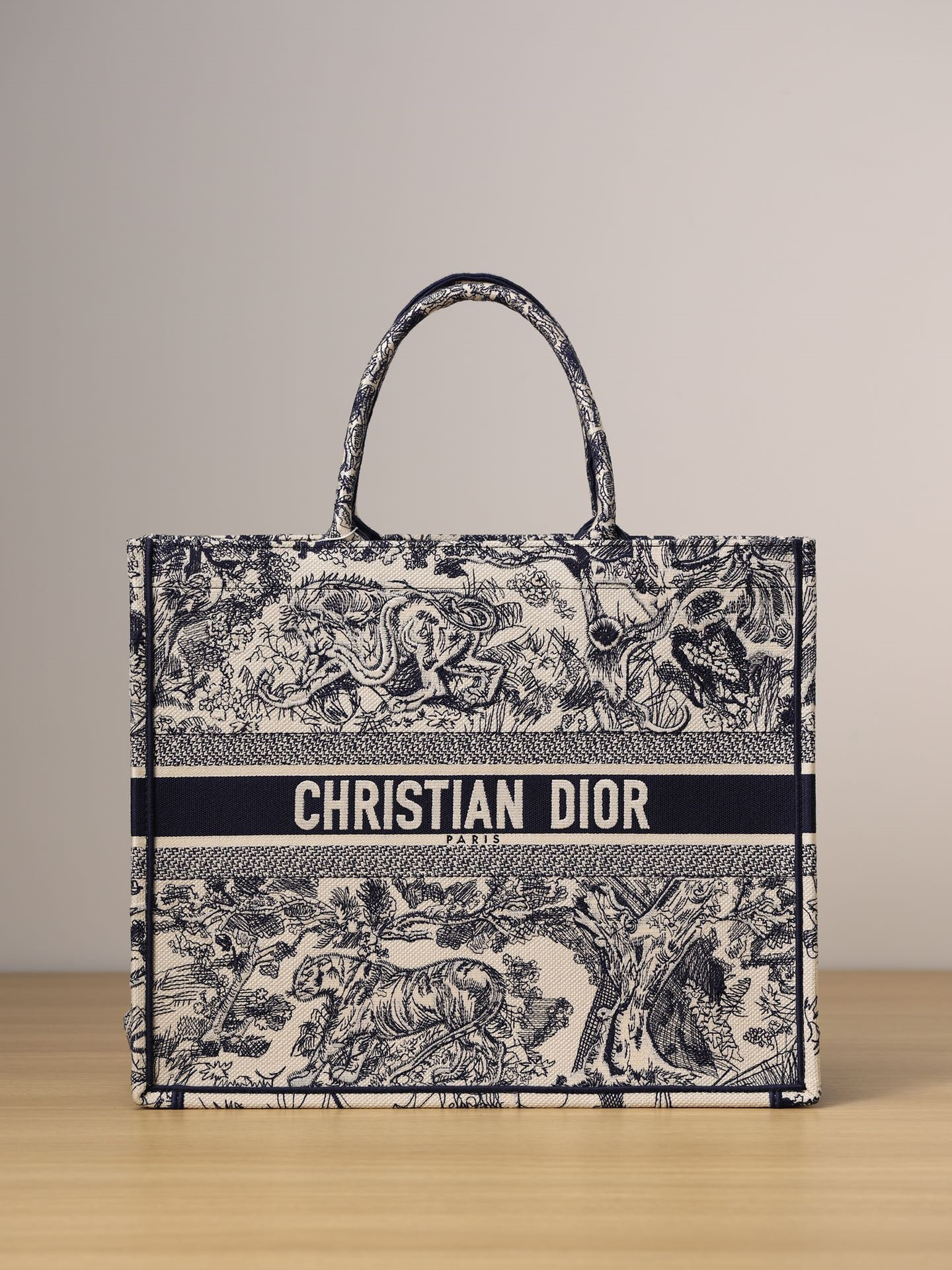 LARGE DIOR BOOK TOTE