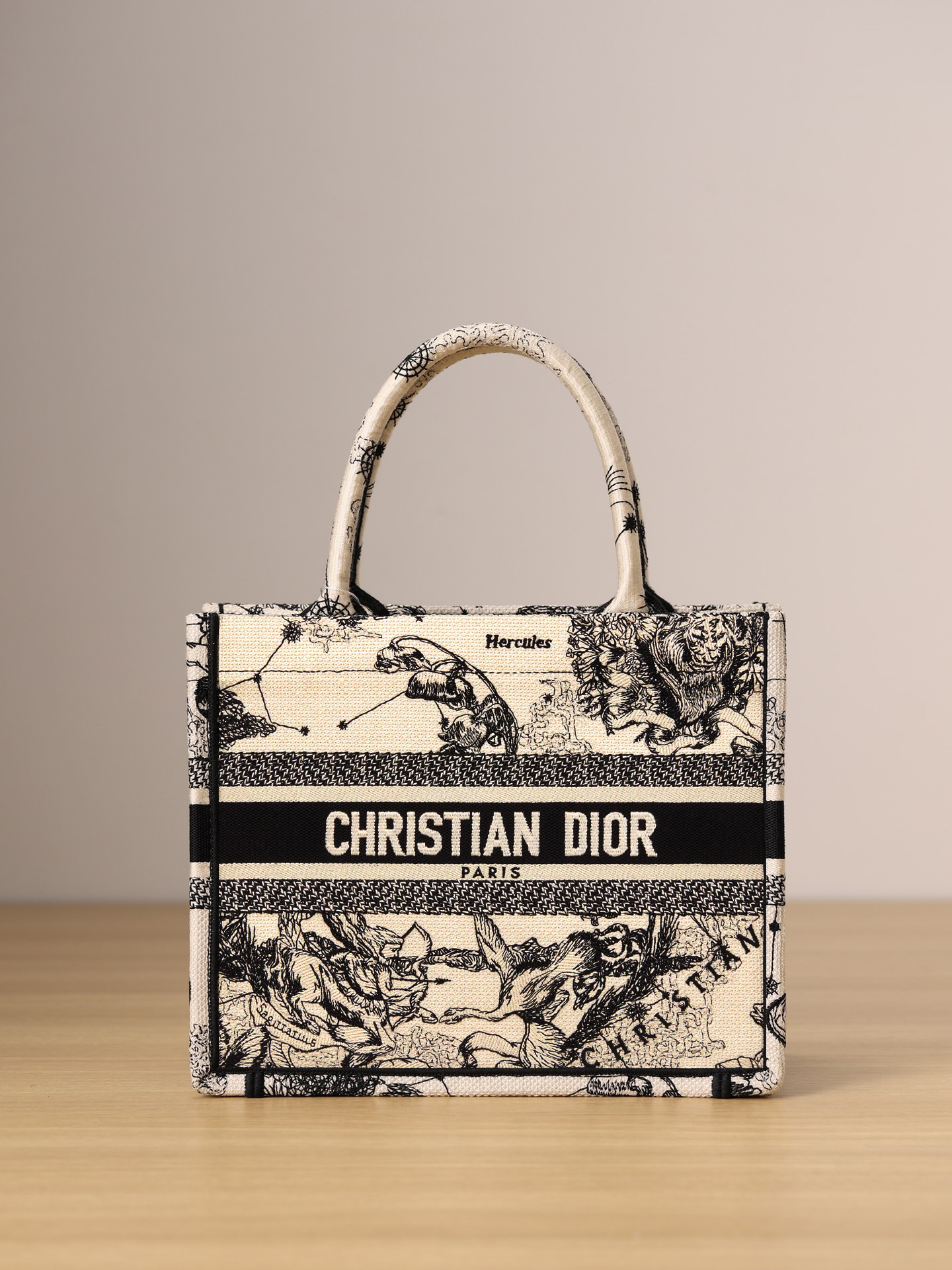 SMALL DIOR BOOK TOTE