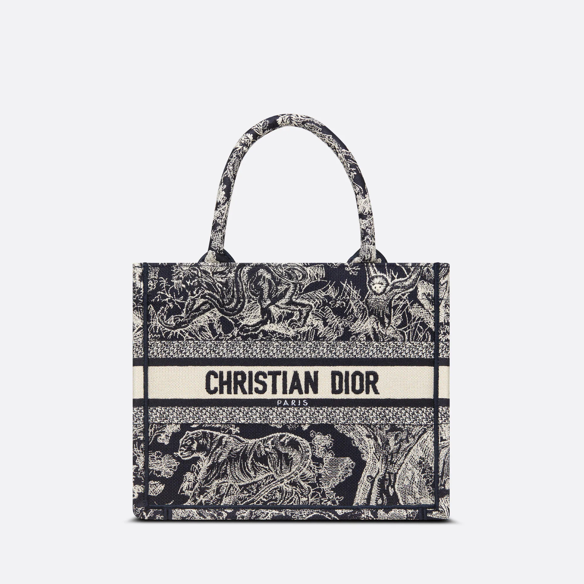 SMALL DIOR BOOK TOTE