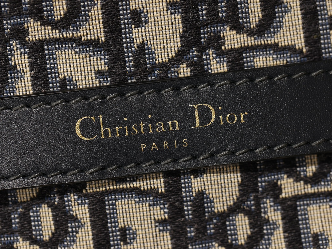 MEDIUM C'EST DIOR BAG